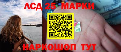 спиды Сланцы