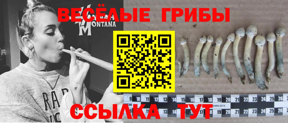Псилоцибиновые грибы мухоморы  наркотики  Орск  Вход с VPN 